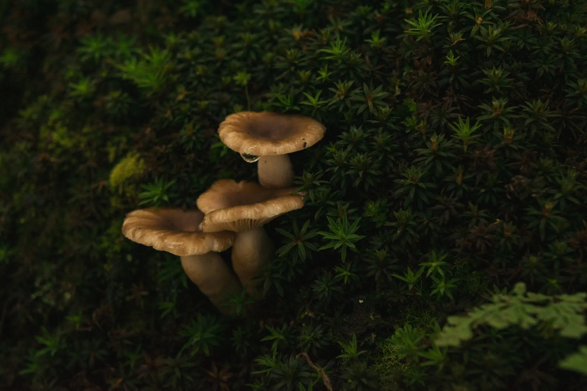 中山地区家庭净水器滤芯更换周期与选型要点分析